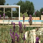 Trullo Amato With Exclusive Pool * Rome